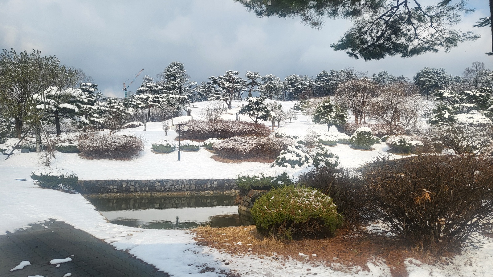 KakaoTalk_20250318_100737416.jpg